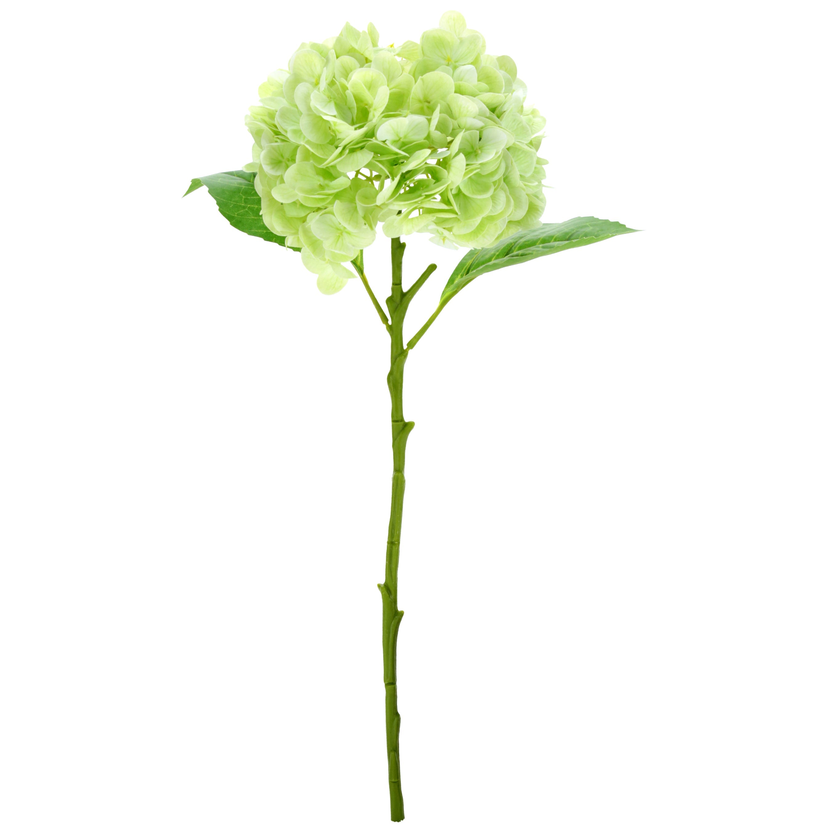 Natural Touch Vibrant Hydrangea Stem Light Green 19 Inches Set of 6