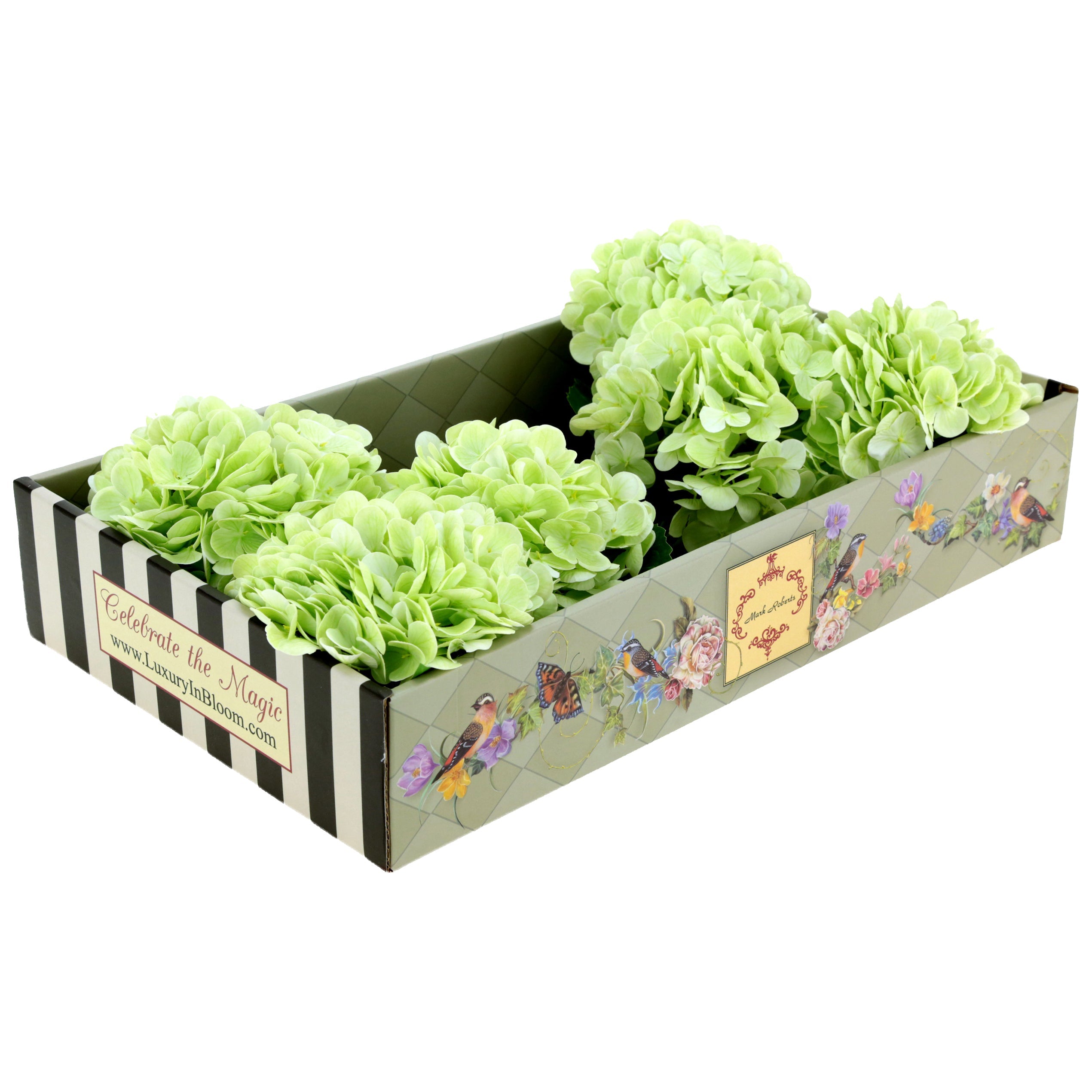 Natural Touch Vibrant Hydrangea Stem Light Green 19 Inches Set of 6