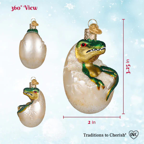 Baby Dino In Egg Ornament