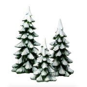 Winter Pines Set of 3