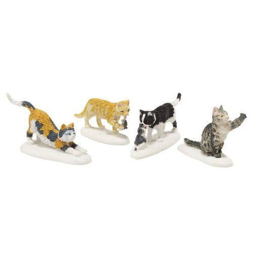 Stray Cat Strut Set of 4