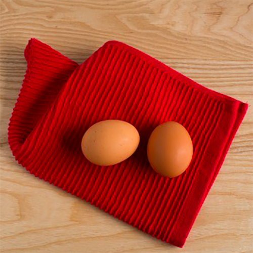 Red Ripple Dishcloth Set of 2