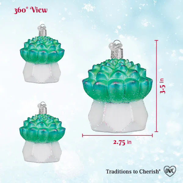 Echeveria Succulent Ornament