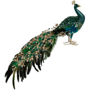 Elegant Fanned Tail Peacock 11 Inches
