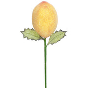 Christmas Lemon Pick 10" Gift Boxed Set of 6