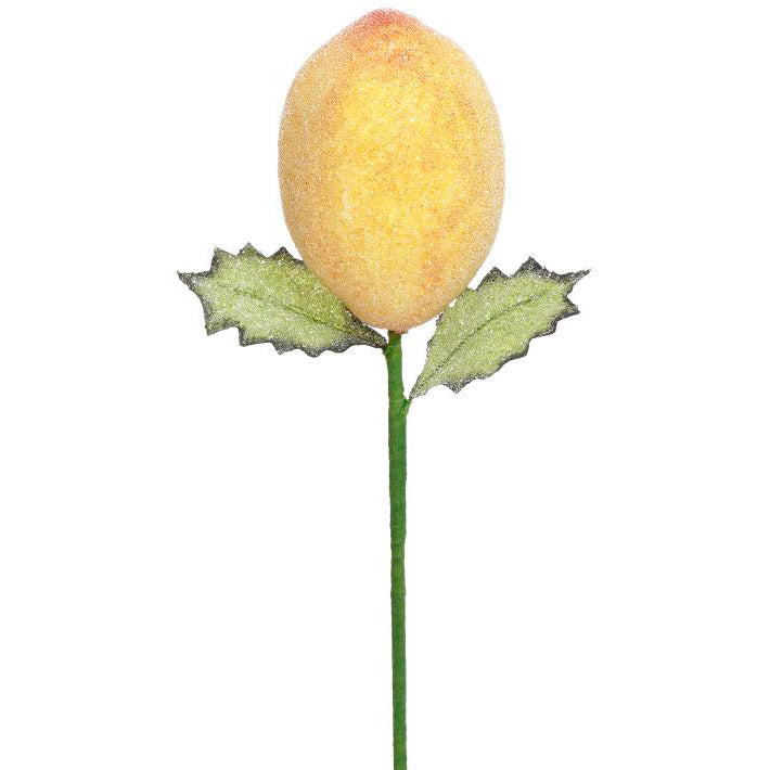 Christmas Lemon Pick 10" Gift Boxed Set of 6