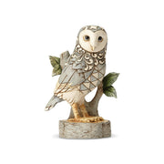 Wisdom Begins With Wonder White Woodland Owl on Branch
