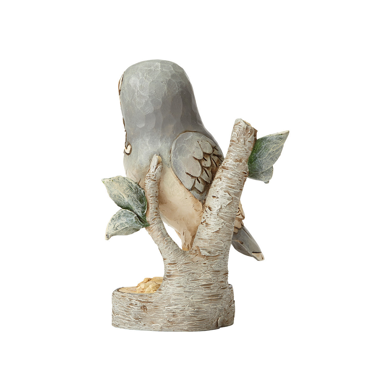 Wisdom Begins With Wonder White Woodland Owl on Branch