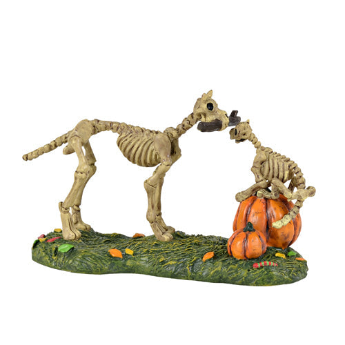 Haunted Pets At Play