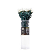 Mini Light Warm White LED Green Wire 50 Light Set
