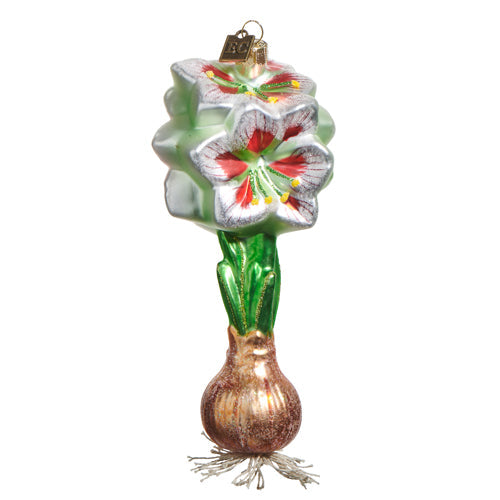 White and Red Amaryllis Bulb Glass Ornament 6"