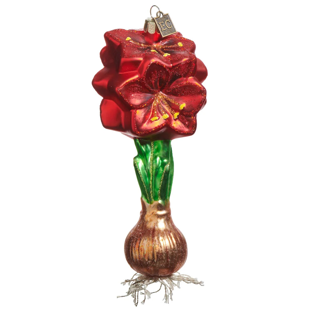 Red Amaryllis Bulb Glass Ornament 6"