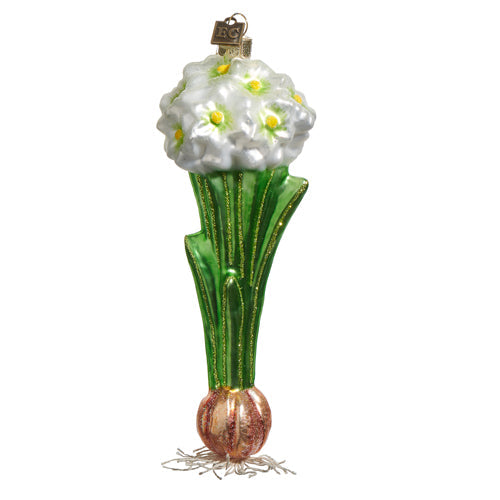 Paperwhite Bulb Glass Ornament 7"