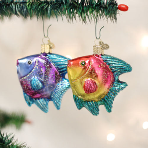 Tropical Angelfish Ornament Assorted