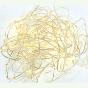 Warm White Twinkle Fairie Lights 50 Light