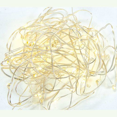 Warm White Twinkle Fairie Lights 50 Light