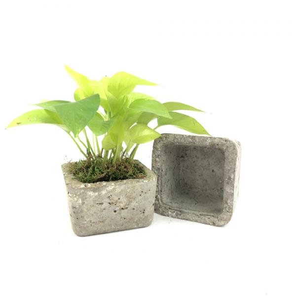 Concrete Hypertufa Square Small