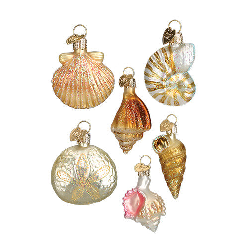 Sea Shell Ornament Set of 6