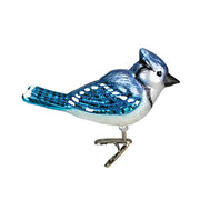 Bright Blue Jay Ornament