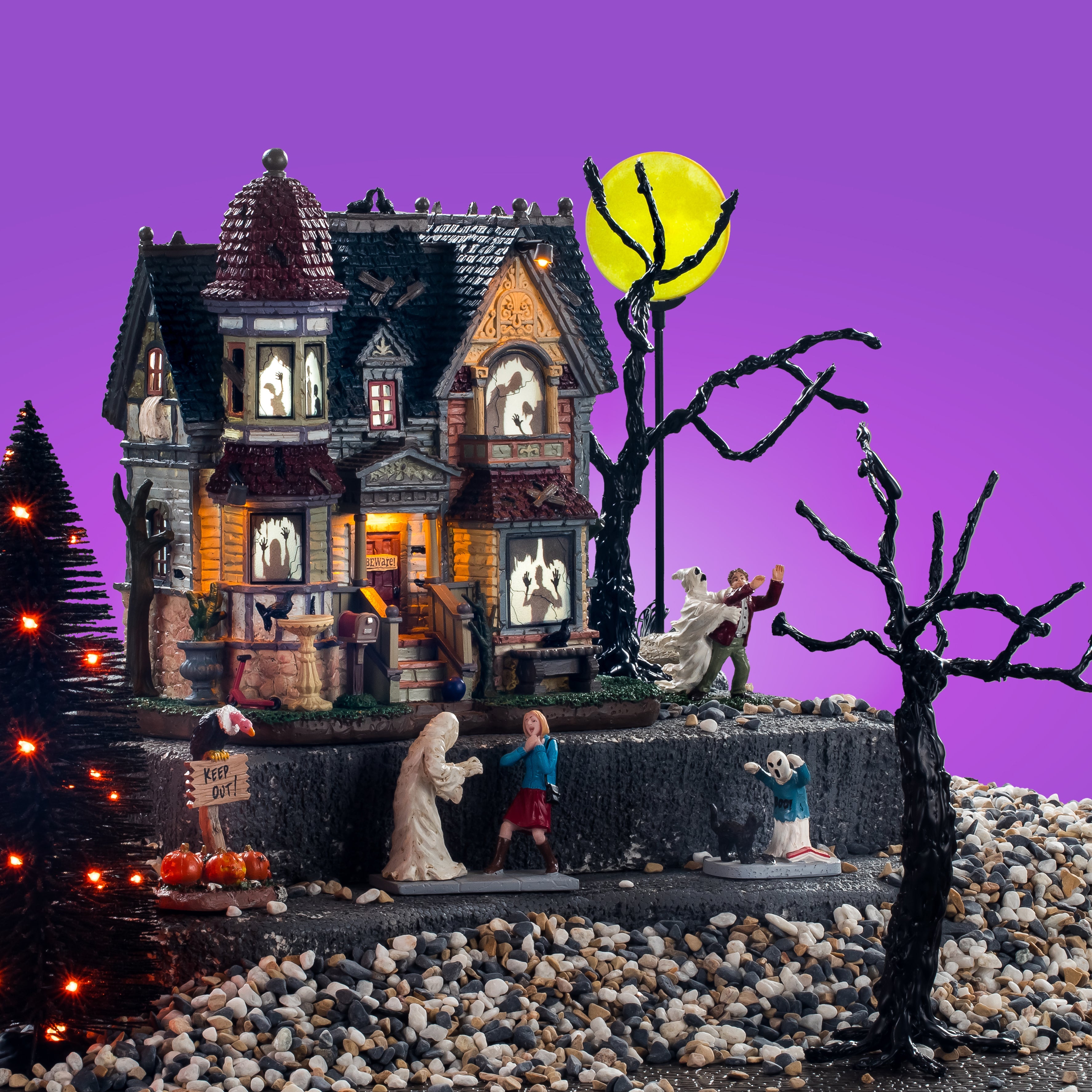 The House Of Shadows Set