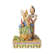 Beatrix Potter's Peter Rabbit in the Garden