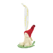 Happy Holly-Days Ornament