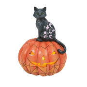 Black Cat on Pumpkin LED Purr-fect Pumpkin