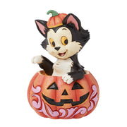 Figaro in Jack-O-Lanter
