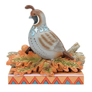 Shades of Fall Quail Sitting on Leaves