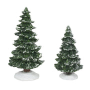 Christmas Spruces Set of 2