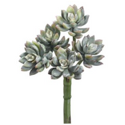 Frosty Green Mini Echeveria Stem 9"