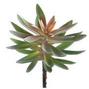 Green Agave Pick 8.5"