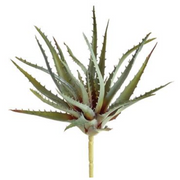 Grey Green Soft Touch Aloe Pick 10"