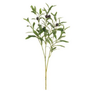 Olive Branch 28"