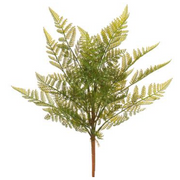 Green Fern Bush 17"