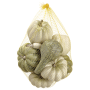 Weighted Cream and Green Pumpkin and Gourd  6" Assortment Set of 8