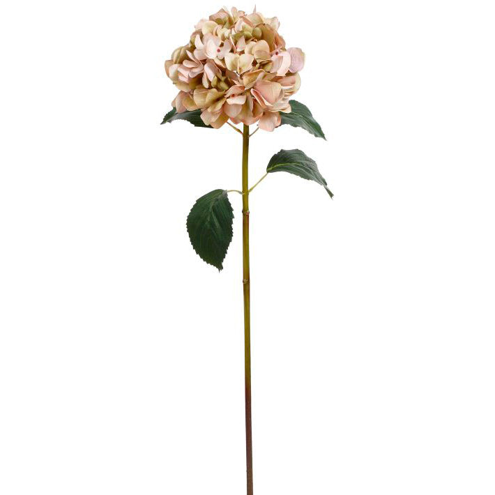 Bundle of 6 Green & Pink Hydrangea Stems 35"