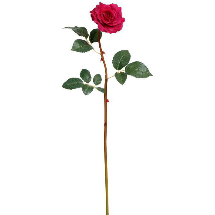 Bundle of 12 Mauve Tea Roses 21"