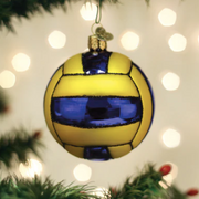 Water Polo Ball Ornament