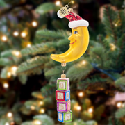 To The Moon And Back Ornament