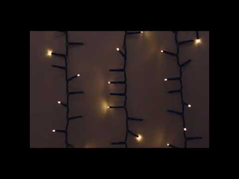 Warm White LED Rice Light Set 600 Light 49' Length