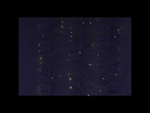 Warm White 3,000 Light LED White Wire Cluster Garland 98'