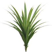 Dracaena Plant 38"