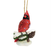 Caring Cardinal on Branch with Winter Blessings Ornament