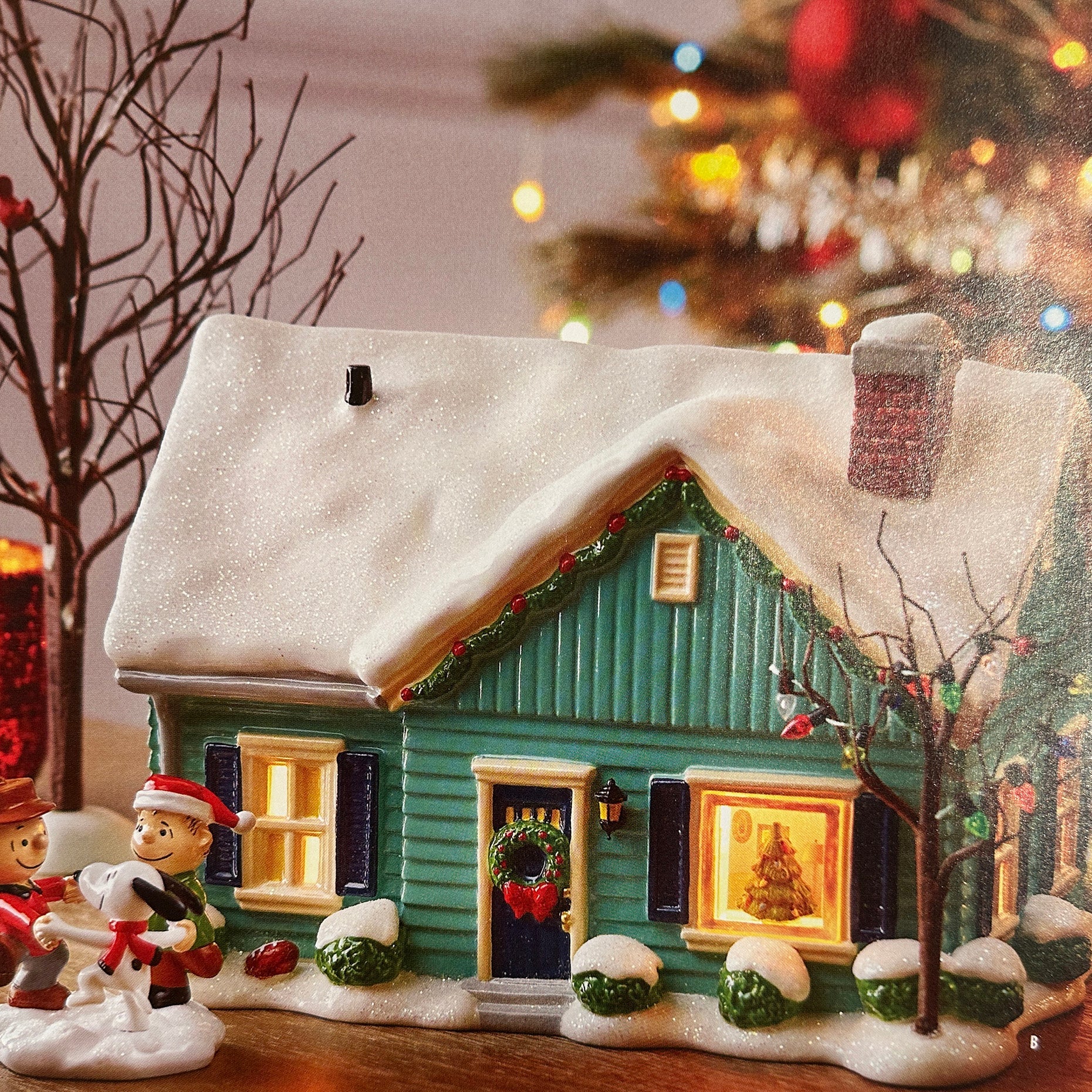 Blue House On James Street