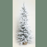 Flocked Pine Tree with Burlap Base 48" with 100 Clear Bright Lights