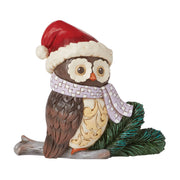 Owl Wearing Santa Hat and Scarf