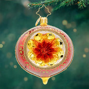 Poinsettia Reflections