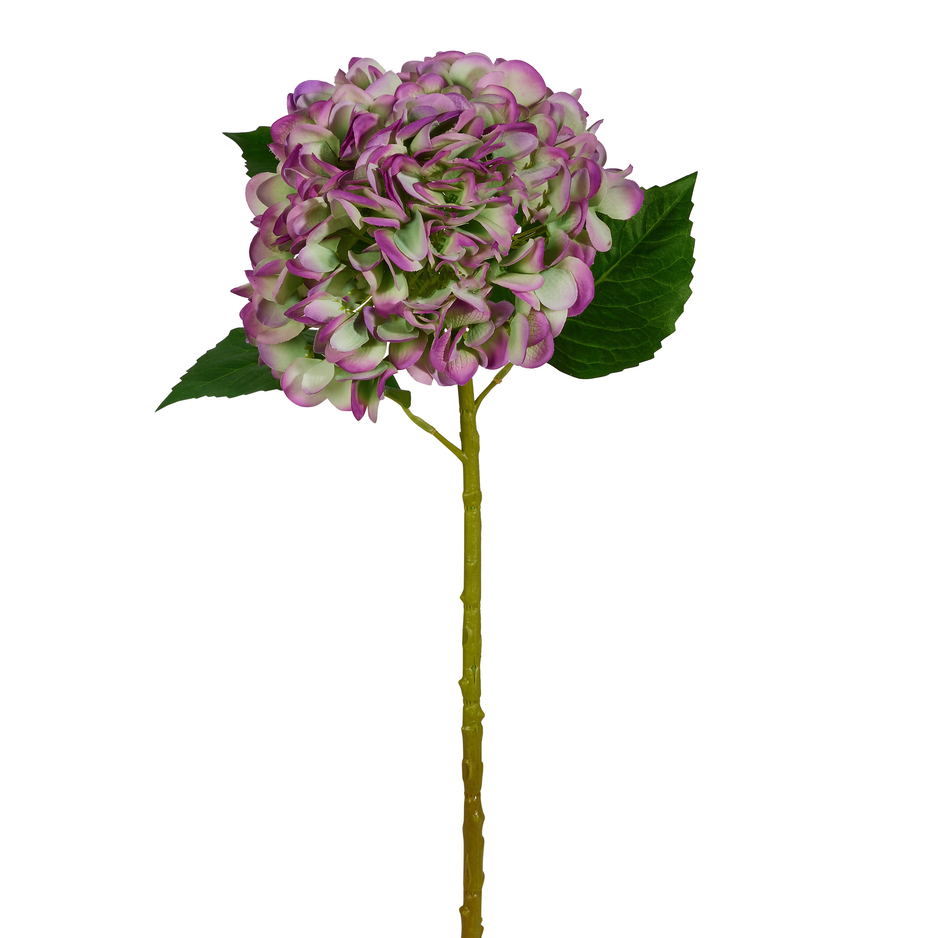 Real Touch Green and Purple Hydrangea Stem 20"