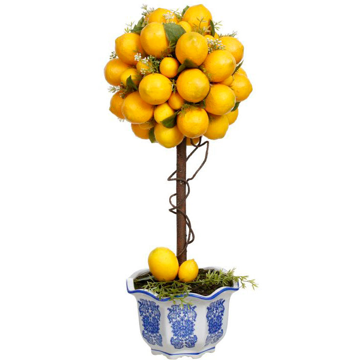 Potted Lemon Topiary 23.5"